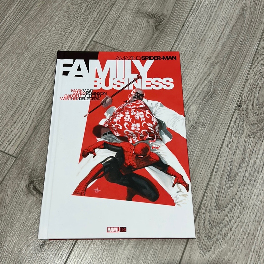 Spider-Man graphic novel new condition